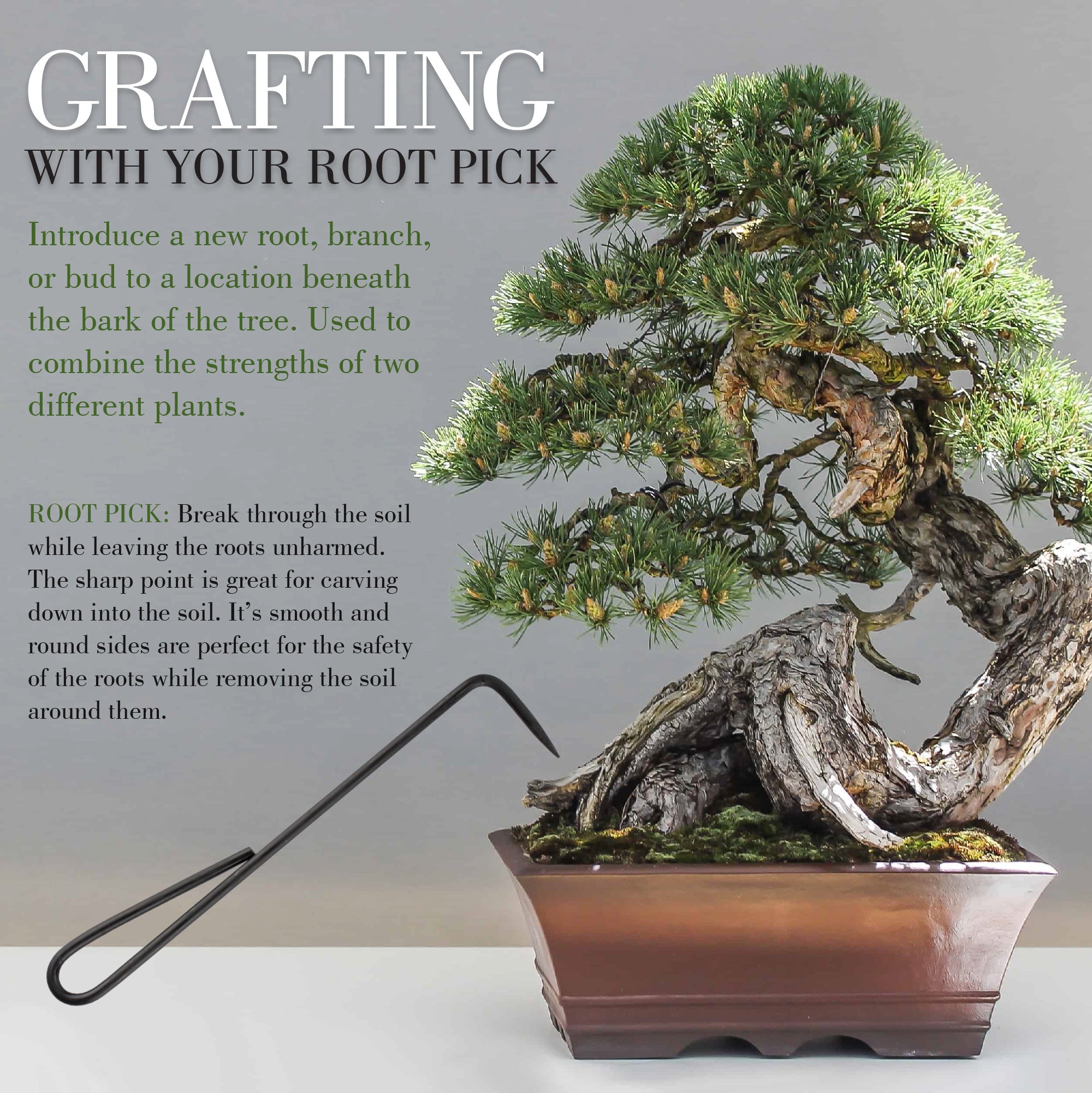Root Care Set