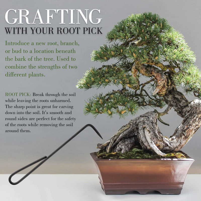 Bonsai 9" Root Pick
