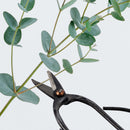 Bonsai 15pc Master Tool Set