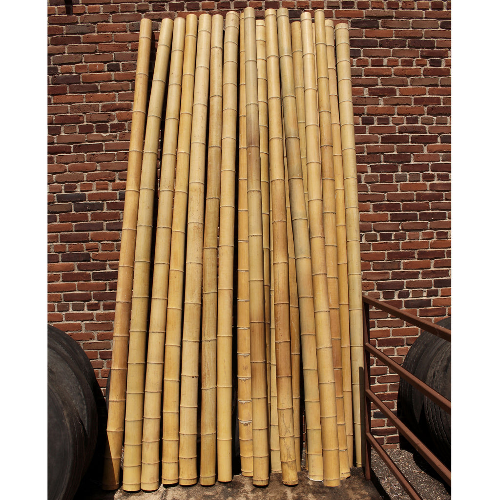 10 foot bamboo fishing pole Thick Bamboo Poles, 10 Feet Long