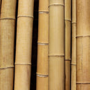 natural thick bamboo poles