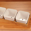 3 Square Succulent Plant Pots with Tray