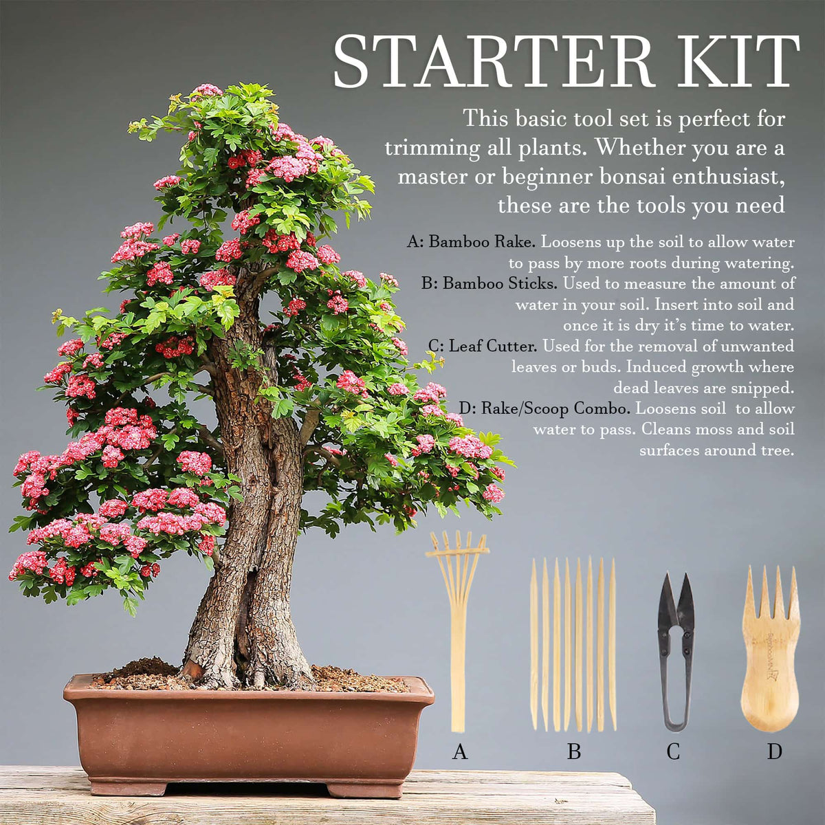 Bonsai Tool Kit, Bonsai Tree Kit Succulent Gardening Tools Set Of 8 Pcs