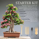 Bonsai Tree Pruning Starter Tool Kit information